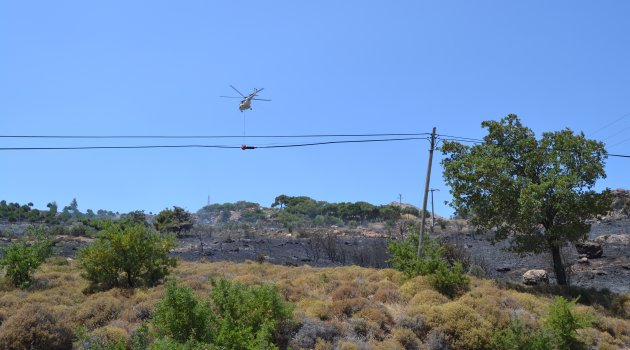 Bergama’da orman yangını