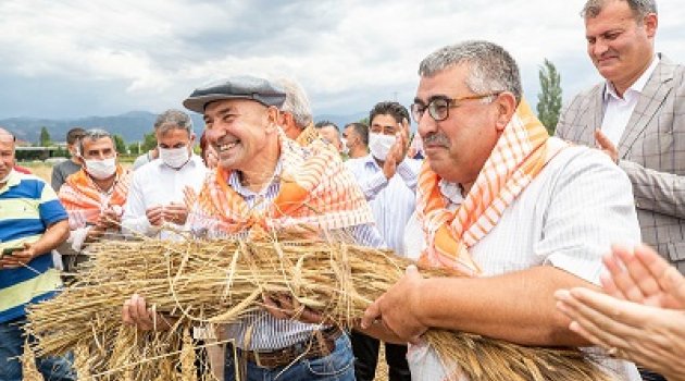 Şimdi hasat zamanı