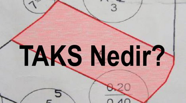 TAKS Nedir?